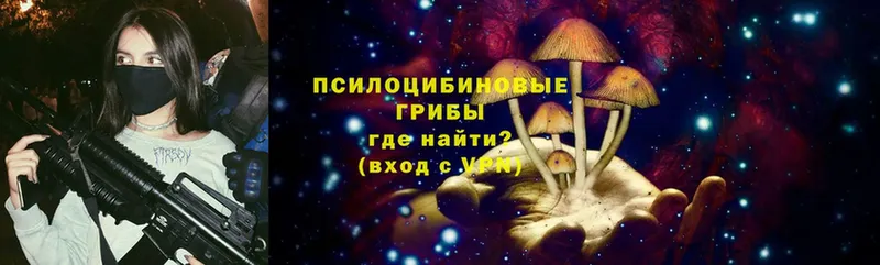 Псилоцибиновые грибы Psilocybe  Кстово 